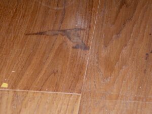 Ukázka jak dopadne dřevěná podlaha naolejovaná nekvalitním olejem. Dokonce jedna podlaha měla originální olej přímo o… –…