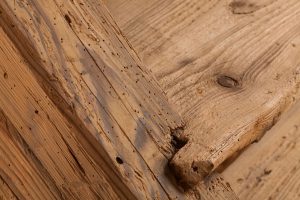Povrch Bronx na dřevěné podlaze ze smrku, olej nádherně vykreslí strukturu smrku a zvýrazní suky. Ideální řešení podl… –…